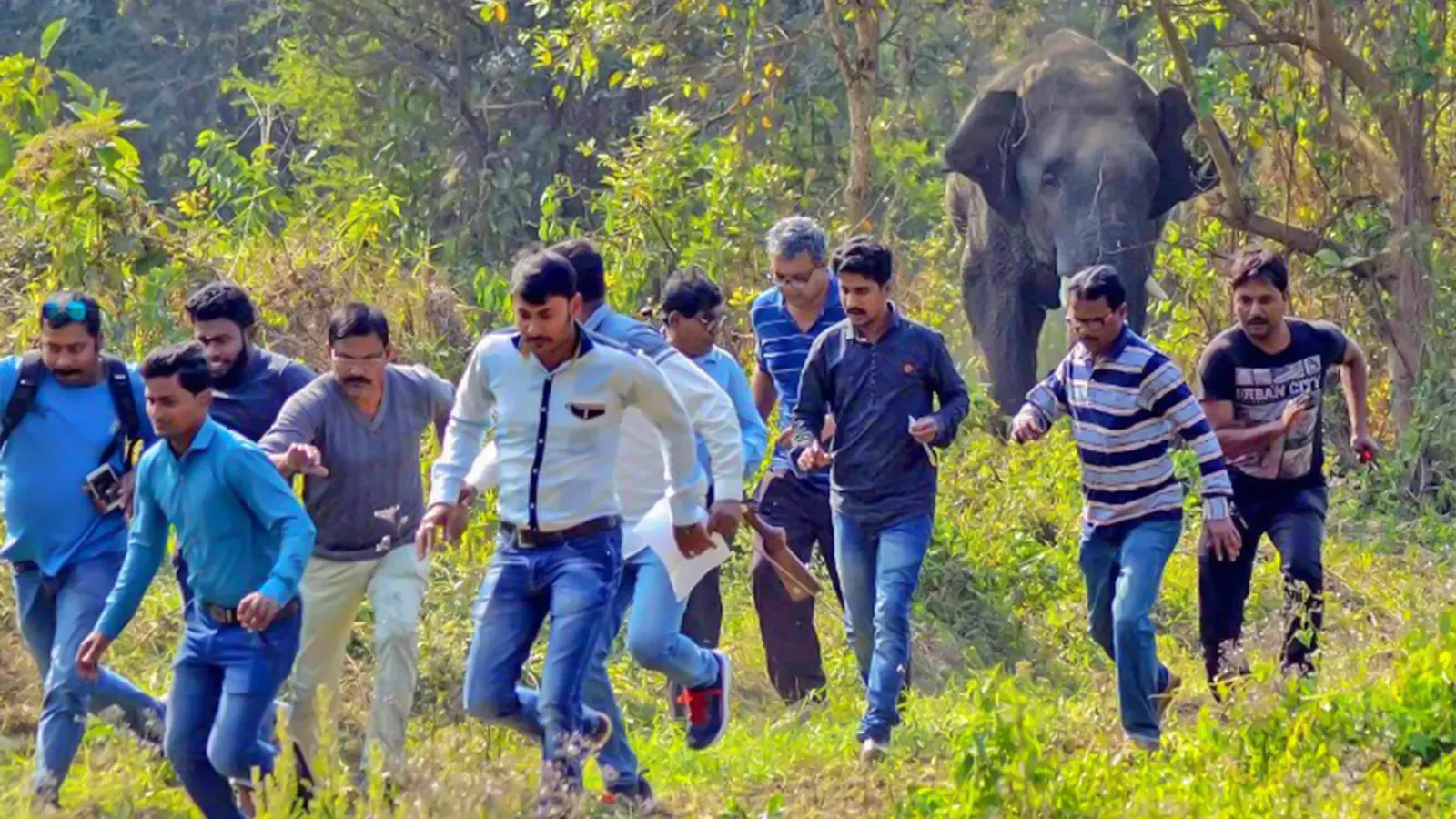 Locals run for cover after being chased by wild elephants in Howrah district of West Bengal. Photo: PTI