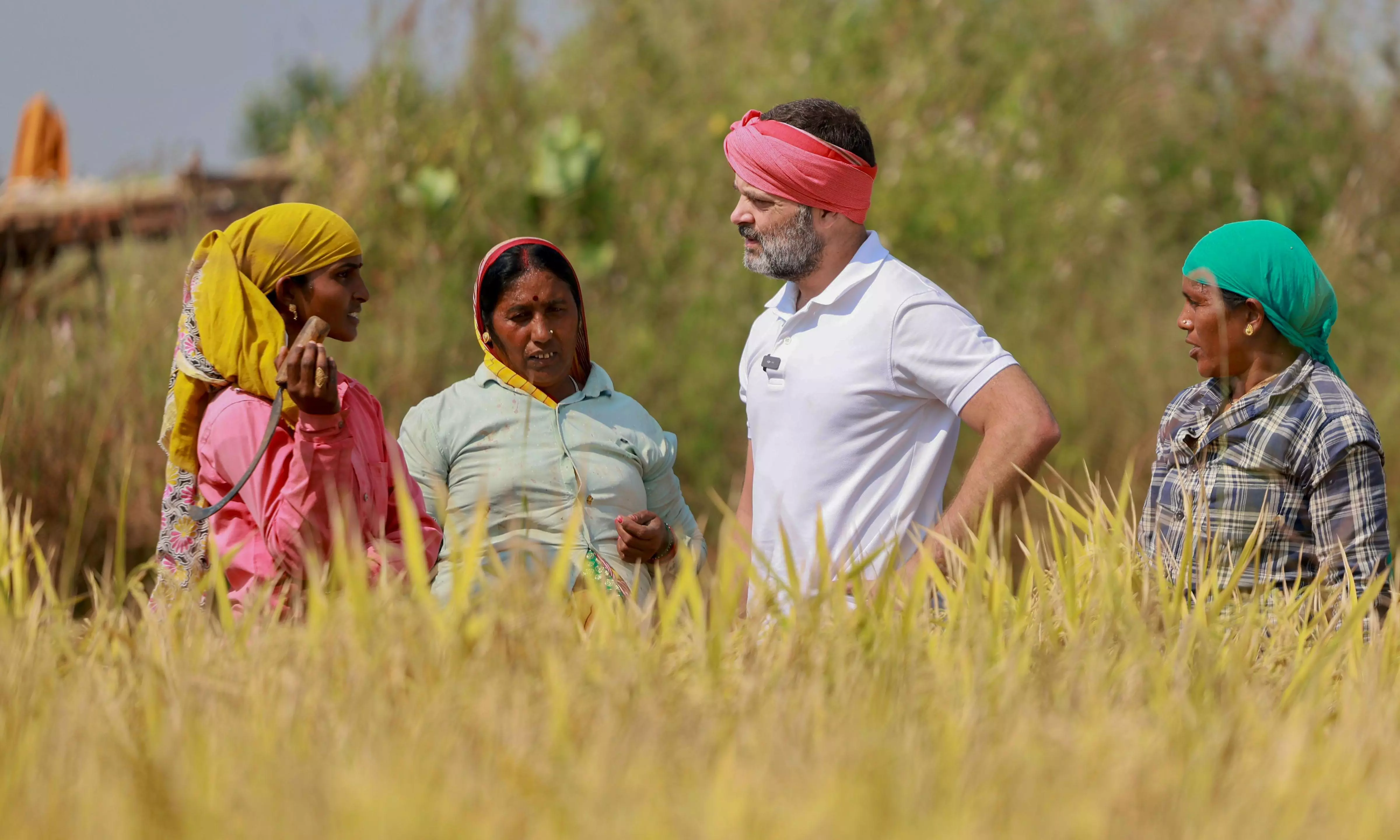 Will replicate Chhattisgarh govts pro-farmer model across India: Rahul Gandhi