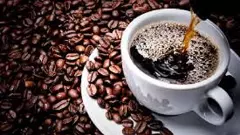 coffee life cycle, carbon footprint