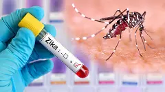 Zika virus 7 year old Mharashtra