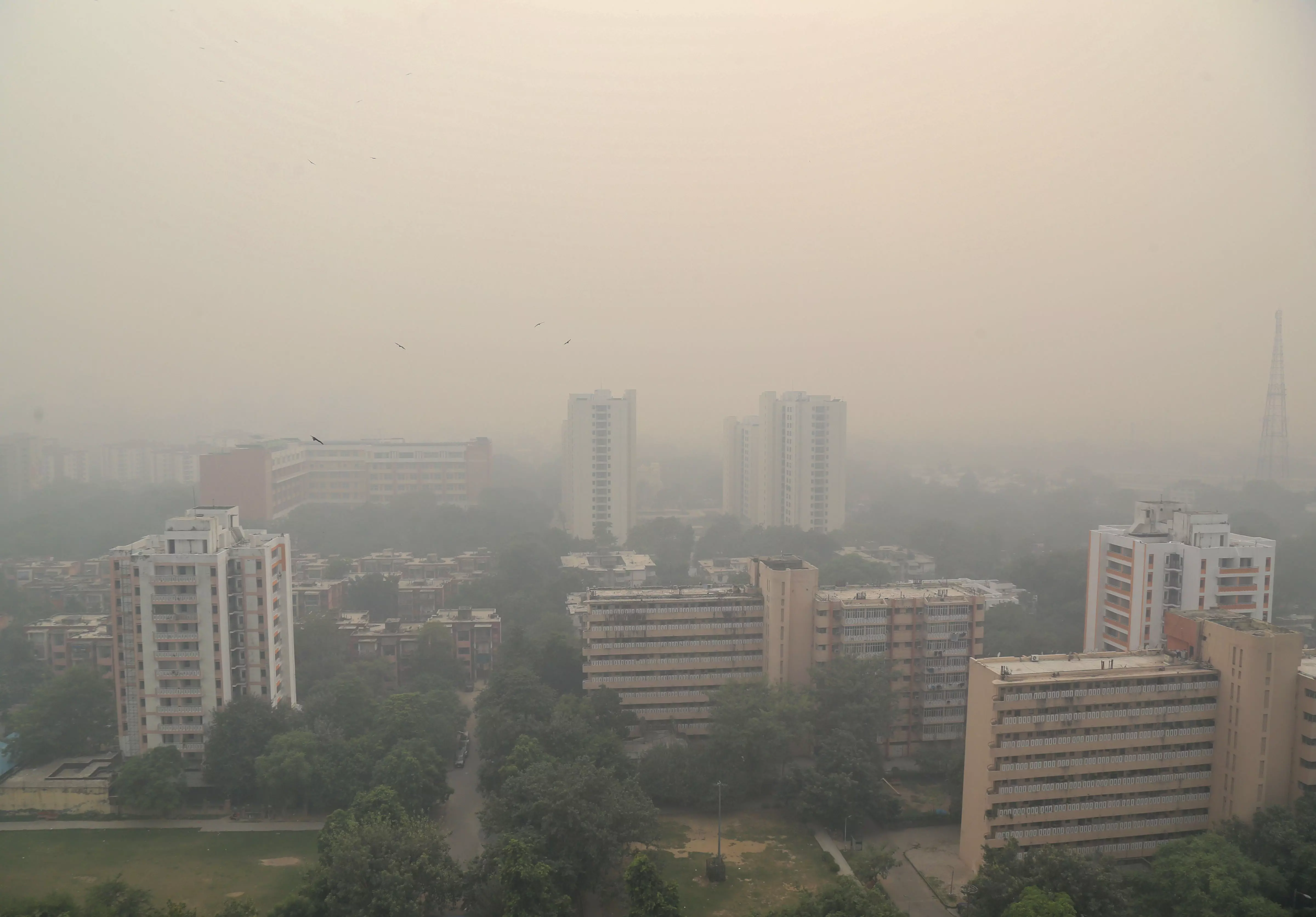 Delhi, air pollution, smoky haze