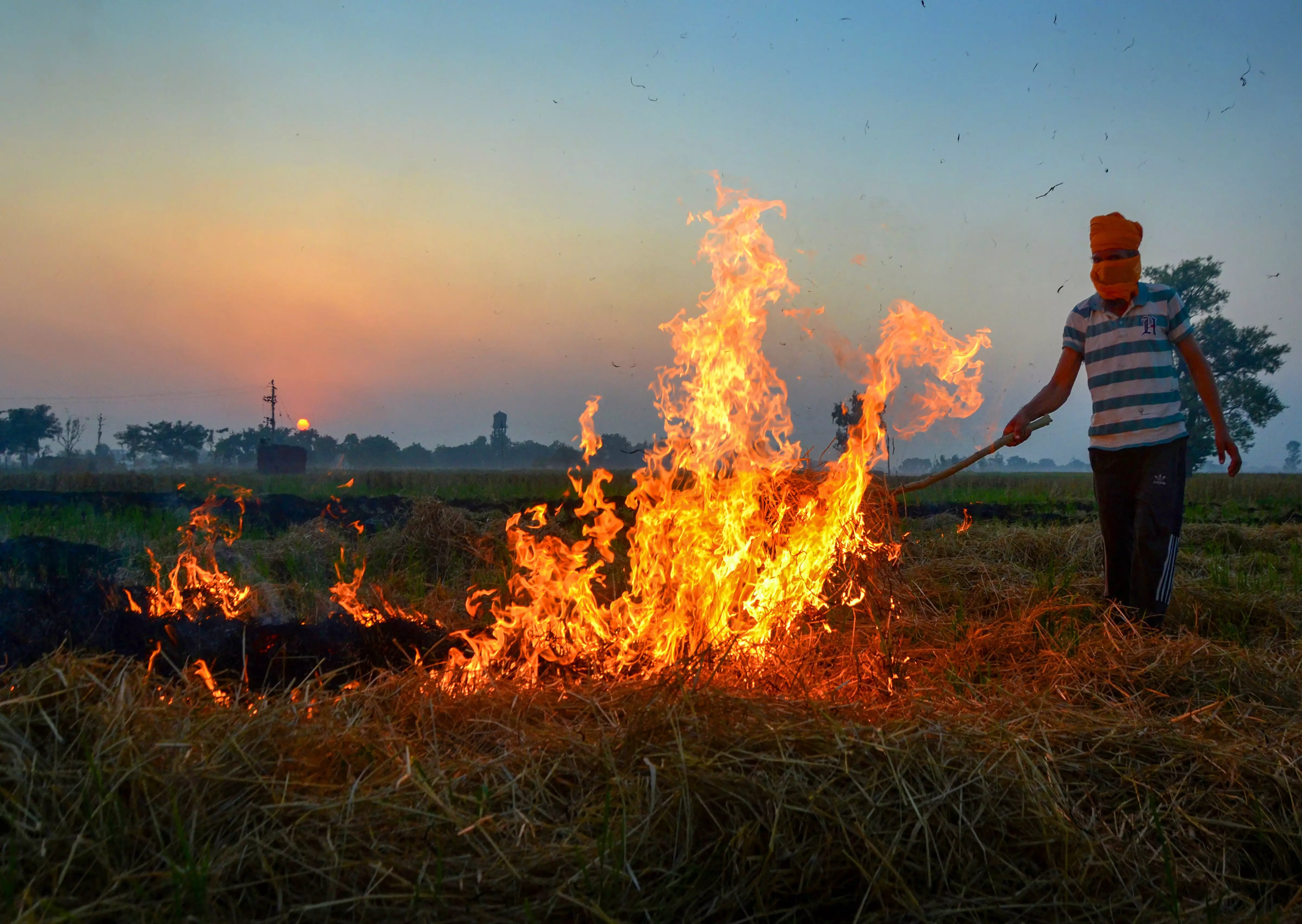 Stubble burning in Punjab