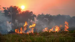 A farmer burns stubble to remove paddy crop residues from a field on the outskirts of Amritsar | PTI