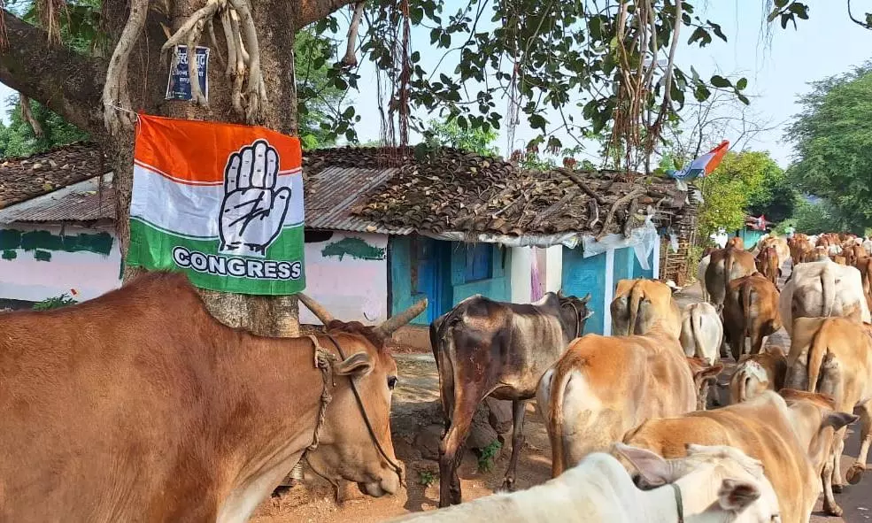 Chhattisgarh polls: Congress basks in a resurgent Bastar but not all is well
