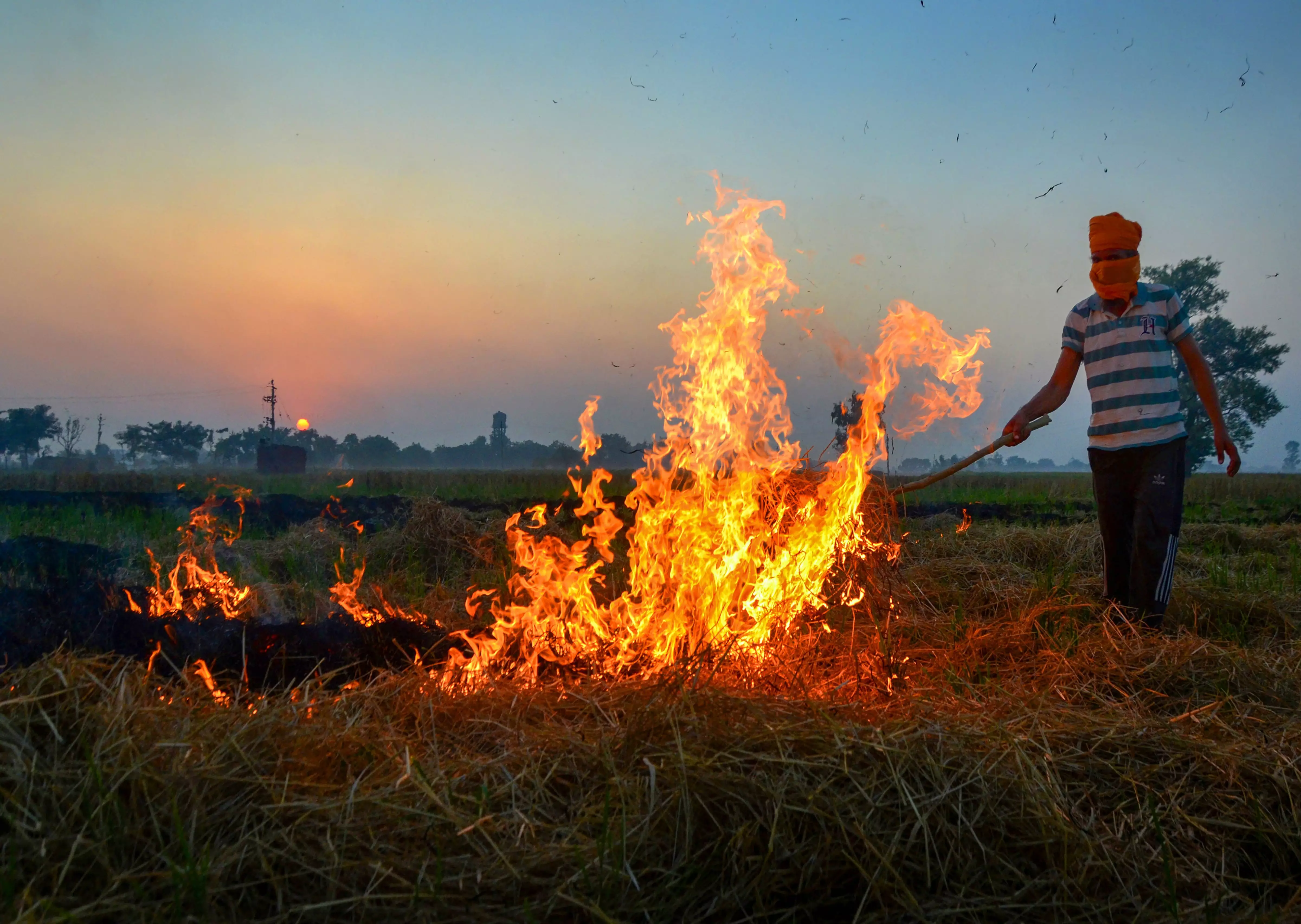 Over 1,500 farm fires reported in Punjab; Haryana AQI in severe, very poor categories