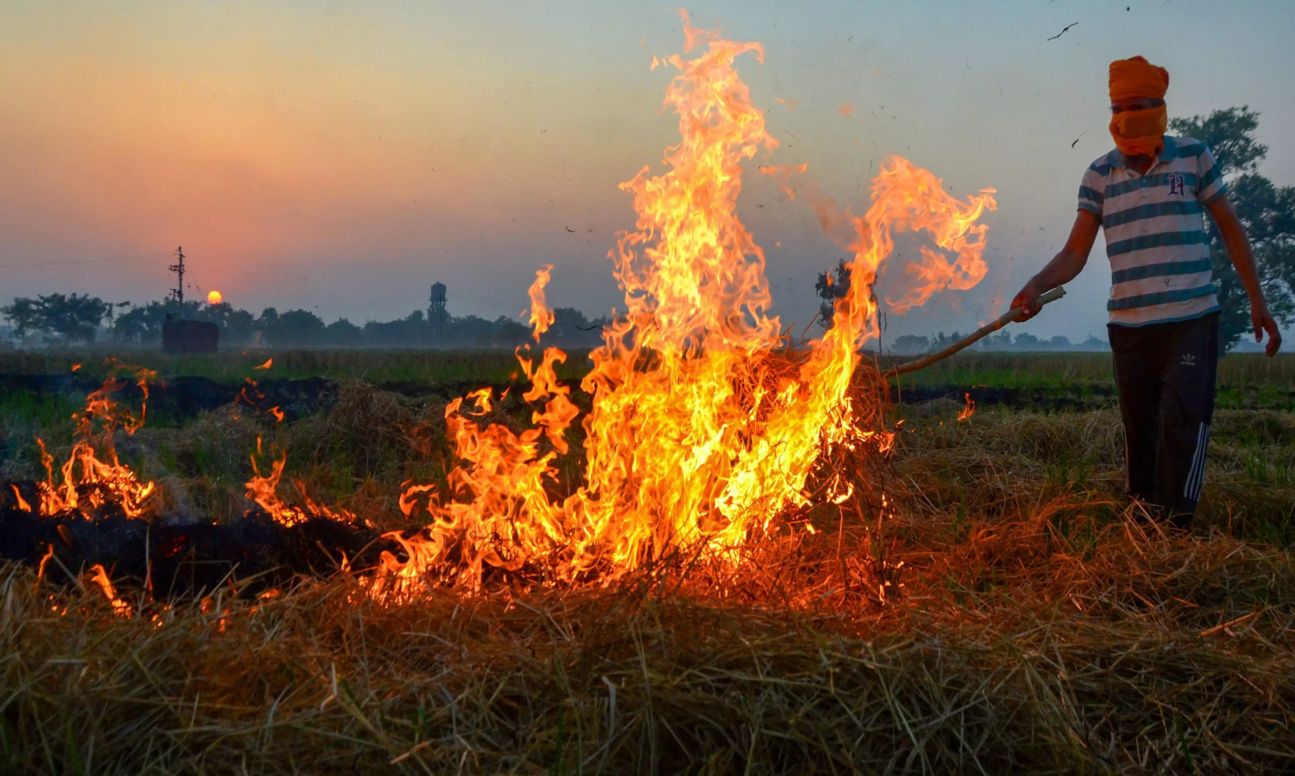 Defying farm fire prevention team, Punjab farmers force officer to burn stubble