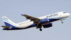 IndiGo, Swedish national accused of molesting cabin crew