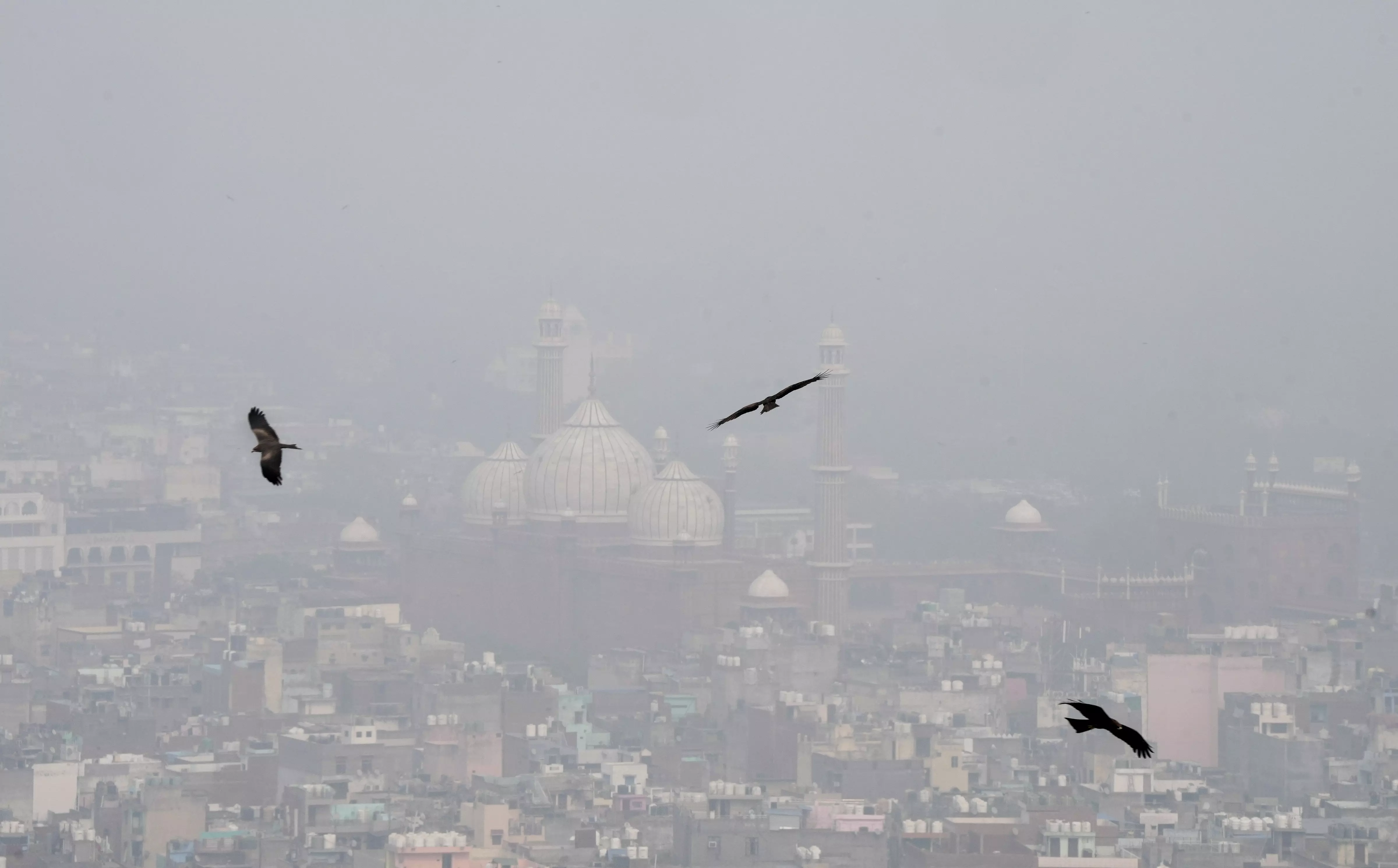 Delhi, air pollution, smog