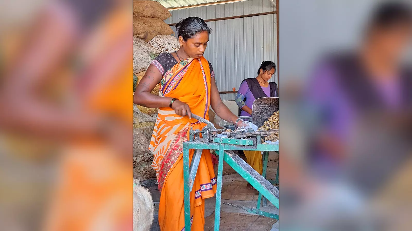 A woman cutting cashews.