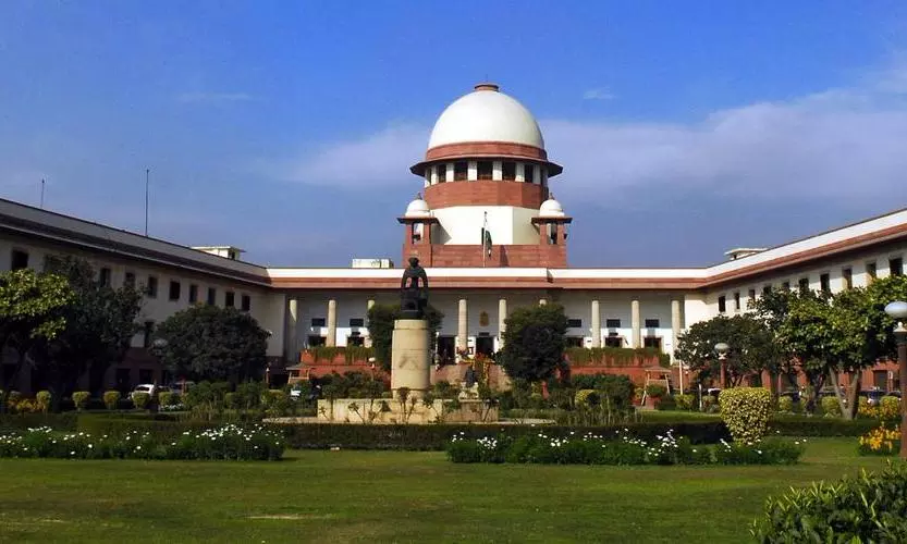 People not supposed to be roaming around on highways, says Supreme Court