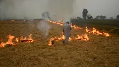 Delhi pollution: MCD issues 383 challans for open burning of waste during November 1-10