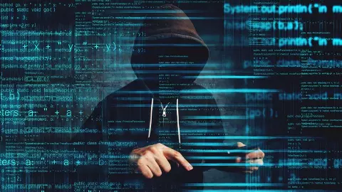 TN cyber crime wing foils ₹1,000 crore fraud, rescues 800 citizens