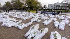 LIVE | Israel military shows ‘Hamas weapons’ at Gaza’s Shifa Hospital; no sign of tunnels