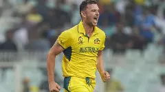 Josh Hazlewood, Australia, ICC World Cup 2023, South Africa, semifinals