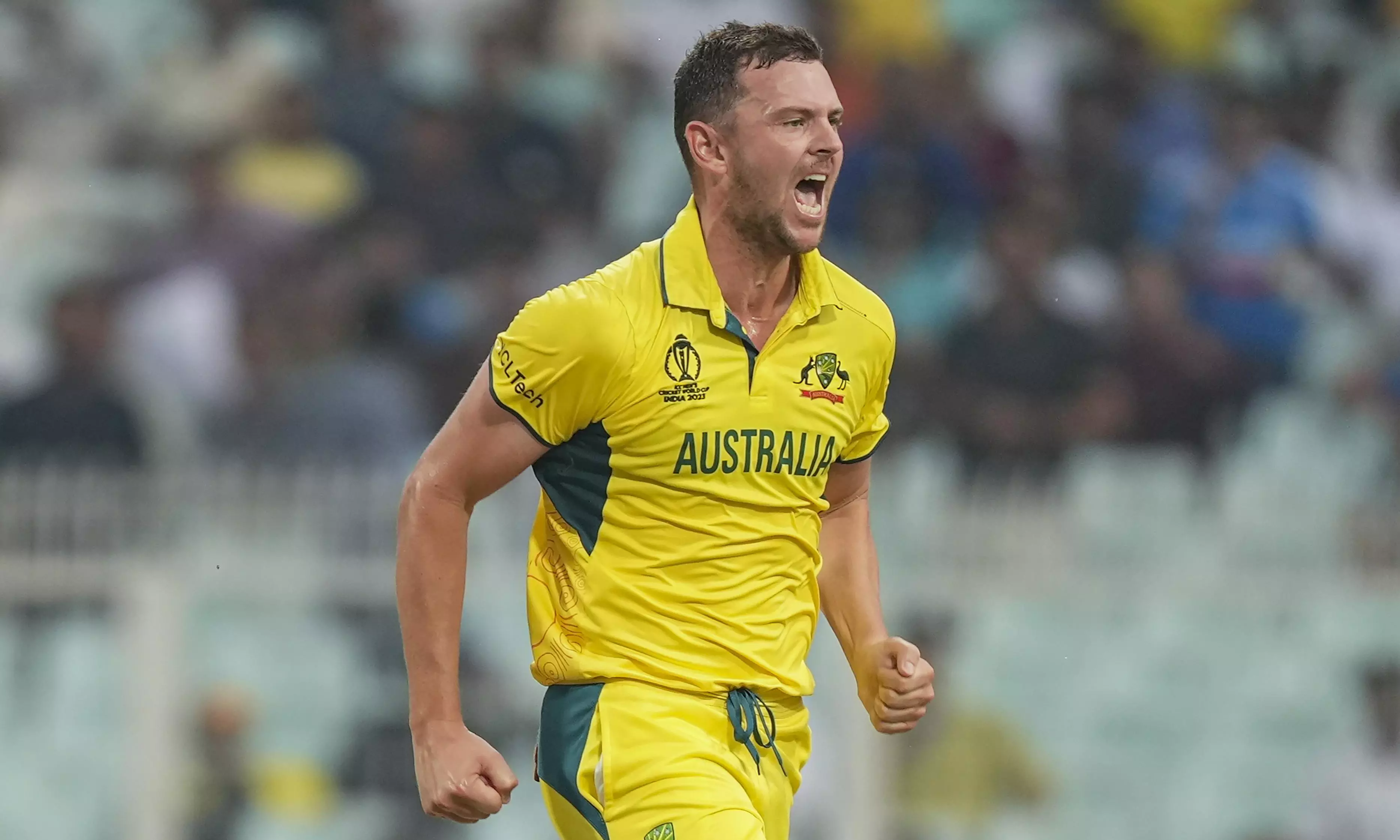 Josh Hazlewood, Australia, ICC World Cup 2023, South Africa, semifinals