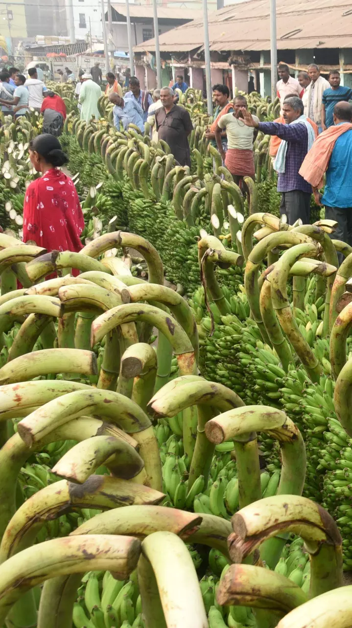 India gears up for Chhath Puja