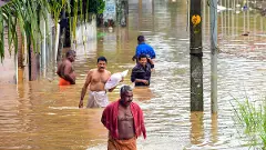 Kerala rain: IMD issues yellow alerts for eight districts