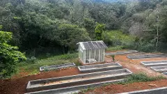 Tamil Nadu: Govt  project at historic Longwood Shola forests in Nilgiris has citizens, ecologists fuming