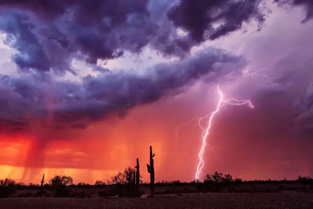 Lightning strikes, north-India, annual lightning report