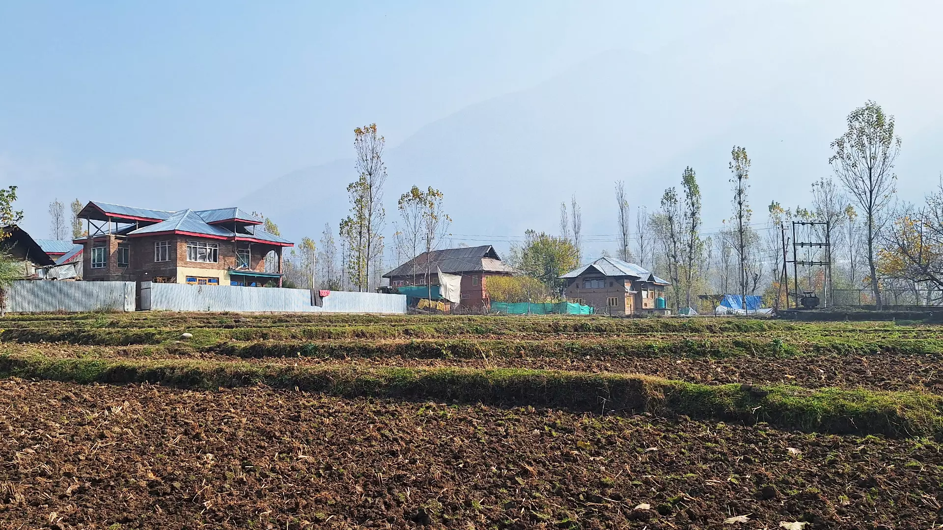 Most people in Baba Wayil trade in walnuts or shawls.