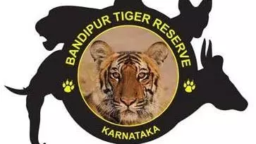 Karnataka: Tigress found dead in Bandipur Tiger Reserve