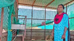 What it takes to be a trans entrepreneur in a world that cant get past prejudices