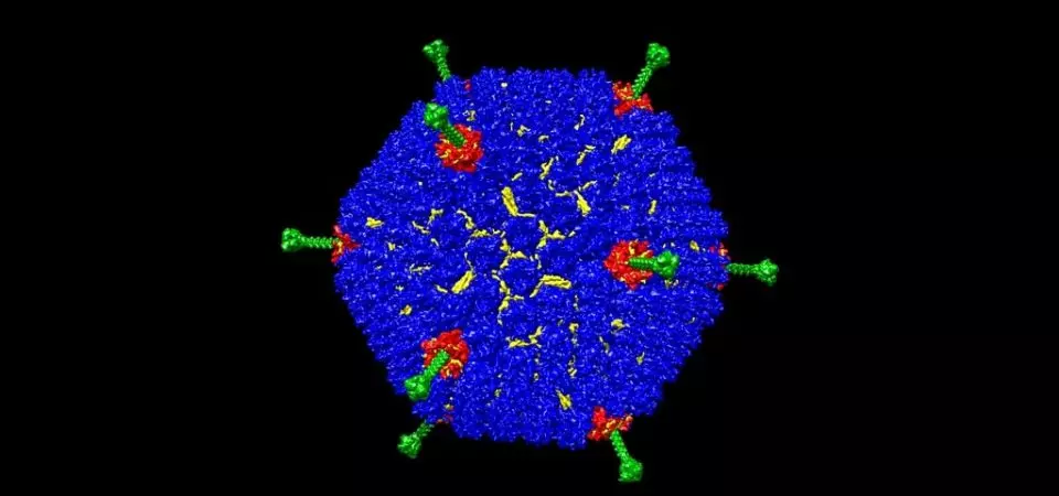 Toddlers below 2-yrs most vulnerable to Adenovirus; 90% treatable at home: Experts