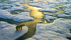 Climate change, IPCC, UN report on climate change