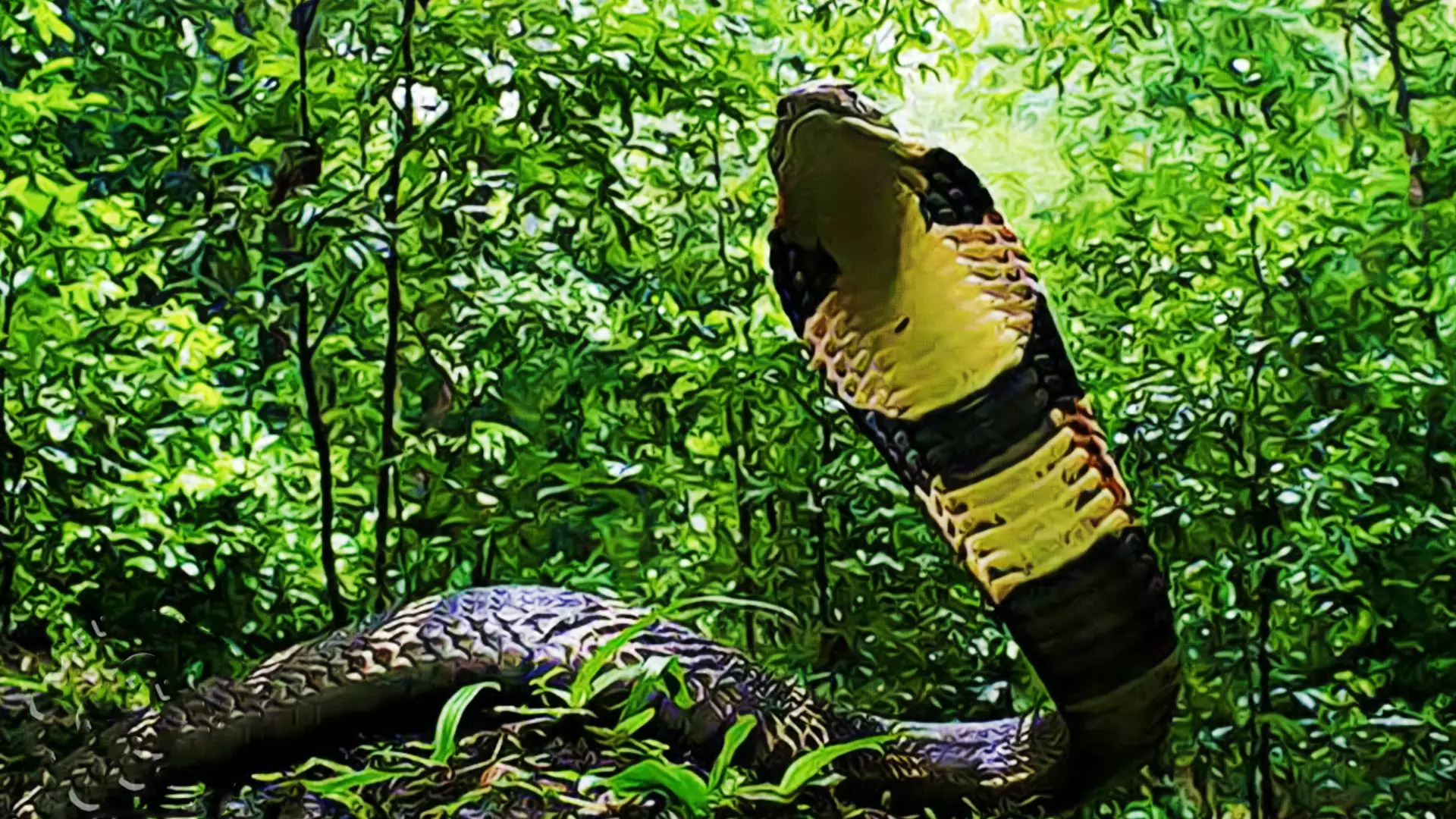 Snakes and success ladders: Snake research institute Kalinga Foundation in Agumbe turns 10
