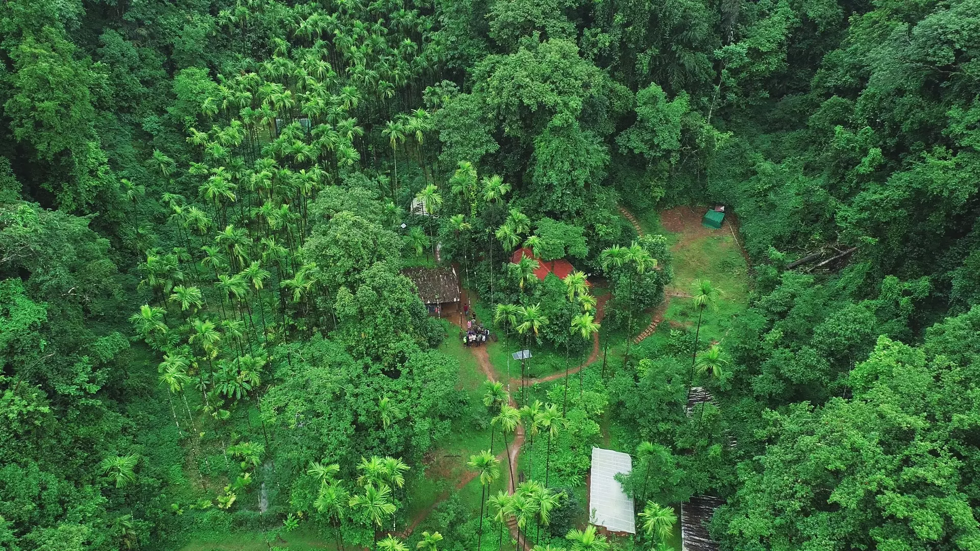 The Kalinga Foundation amid deep forests.