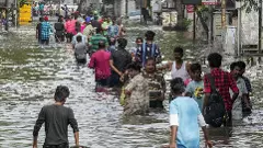 Cyclone Michaung: TN seeks Rs 5,000-cr Central aid; relief work gets underway