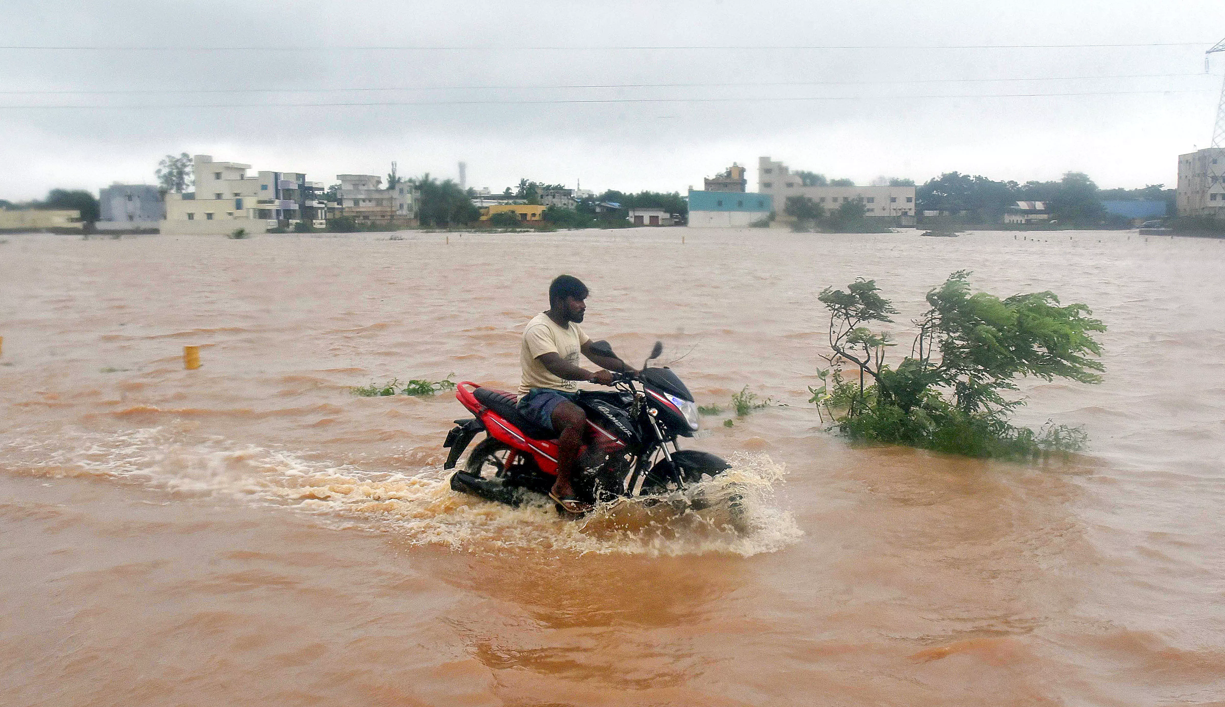 A commuter on a waterlogged road in Nellore, Andhra Pradesh, on December 4, a day ahead of Cyclone Michaungs expected landfall | PTI