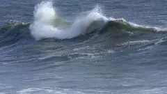 Cyclone Remal: West Bengal on high alert