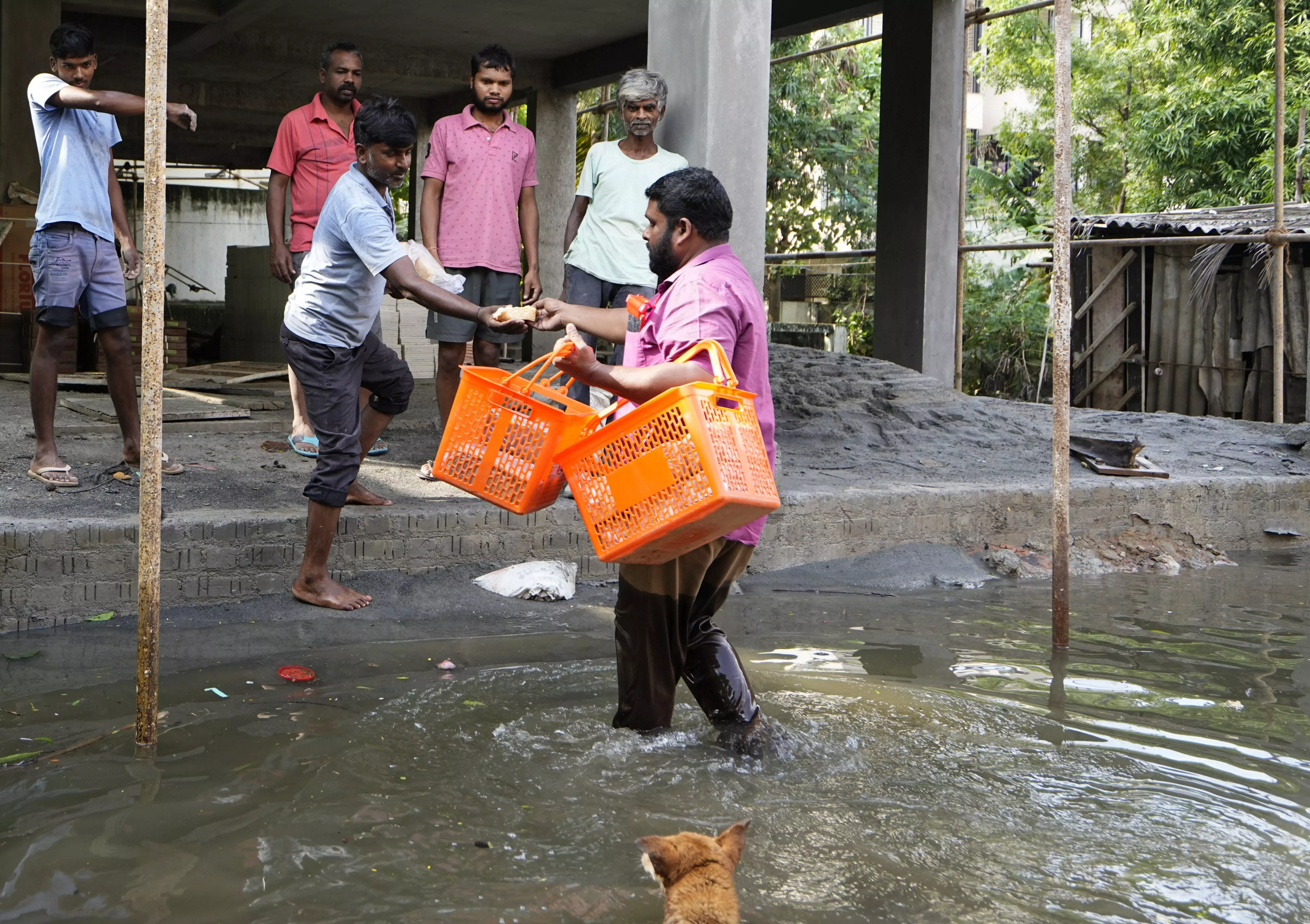 Chennai, cyclone Michaung, volunteers