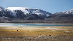 Leh Apex Body cancels Ladakh border march, vows to sustain peaceful protest