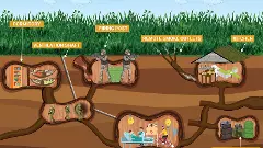 Once a sight of guerrilla warfare, Cu Chi Tunnels Network leads the way to Vietnam’s economic resurgence