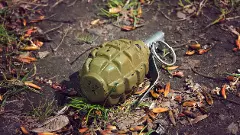 Ukrainian councillor drops grenades at council meet, 26 injured