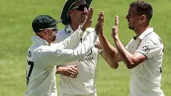 Josh Hazlewood, Nathan Lyon