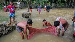 TN floods: Could quicker, sharper IMD forecast have lessened impact?