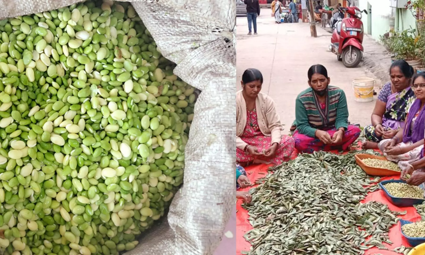 Avarekai Mela 2024: Mother-daughter duo in Bengaluru celebrate the humble legume
