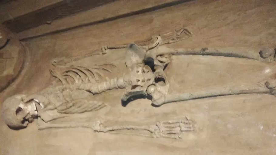 Skeletal remains of five family members found in a house in Karnataka Skeletal remains of five family members found in a house in Karnataka