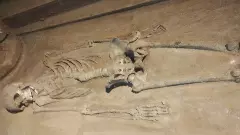 Skeletal remains of five family members found in a house in Karnataka