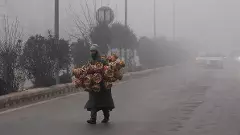 Kashmir experiences severe cold, several areas blanketed by dense fog