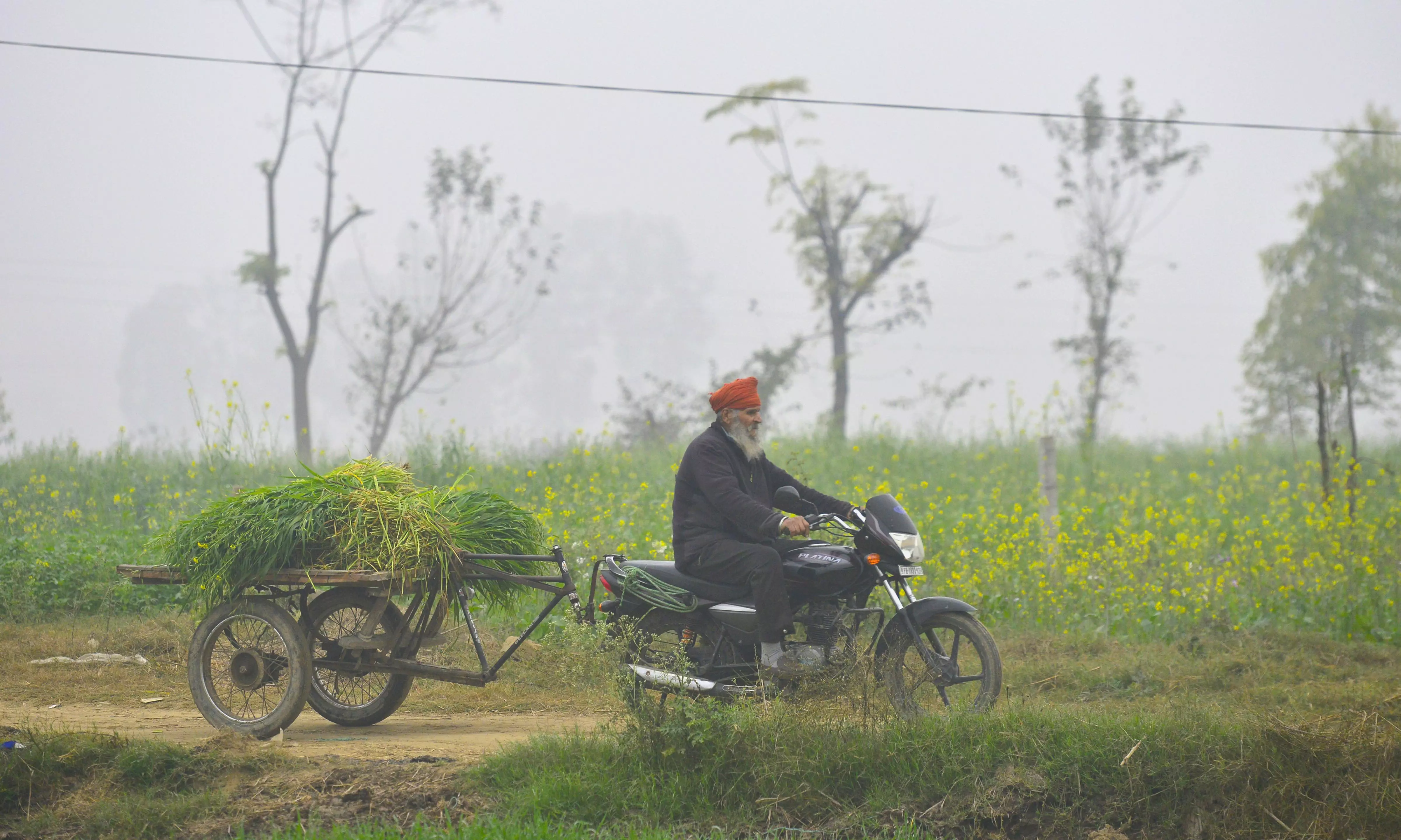 Thick blanket of fog reduced visibility in many parts of Punjab and Haryana, says IMD