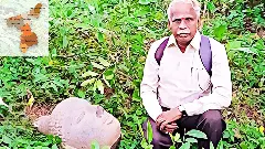 On foot and Hercules cycles: In search of Buddha in the Chola country