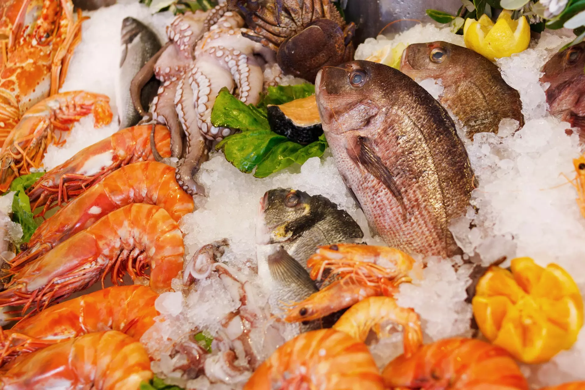 Top deals of Dec 29 - Jan 4: Seafood startup Captain Fresh raises $13 m
