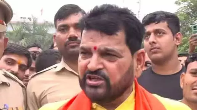 Brij Bhushan Sharan Singh, WFI, wrestlers protest, bail