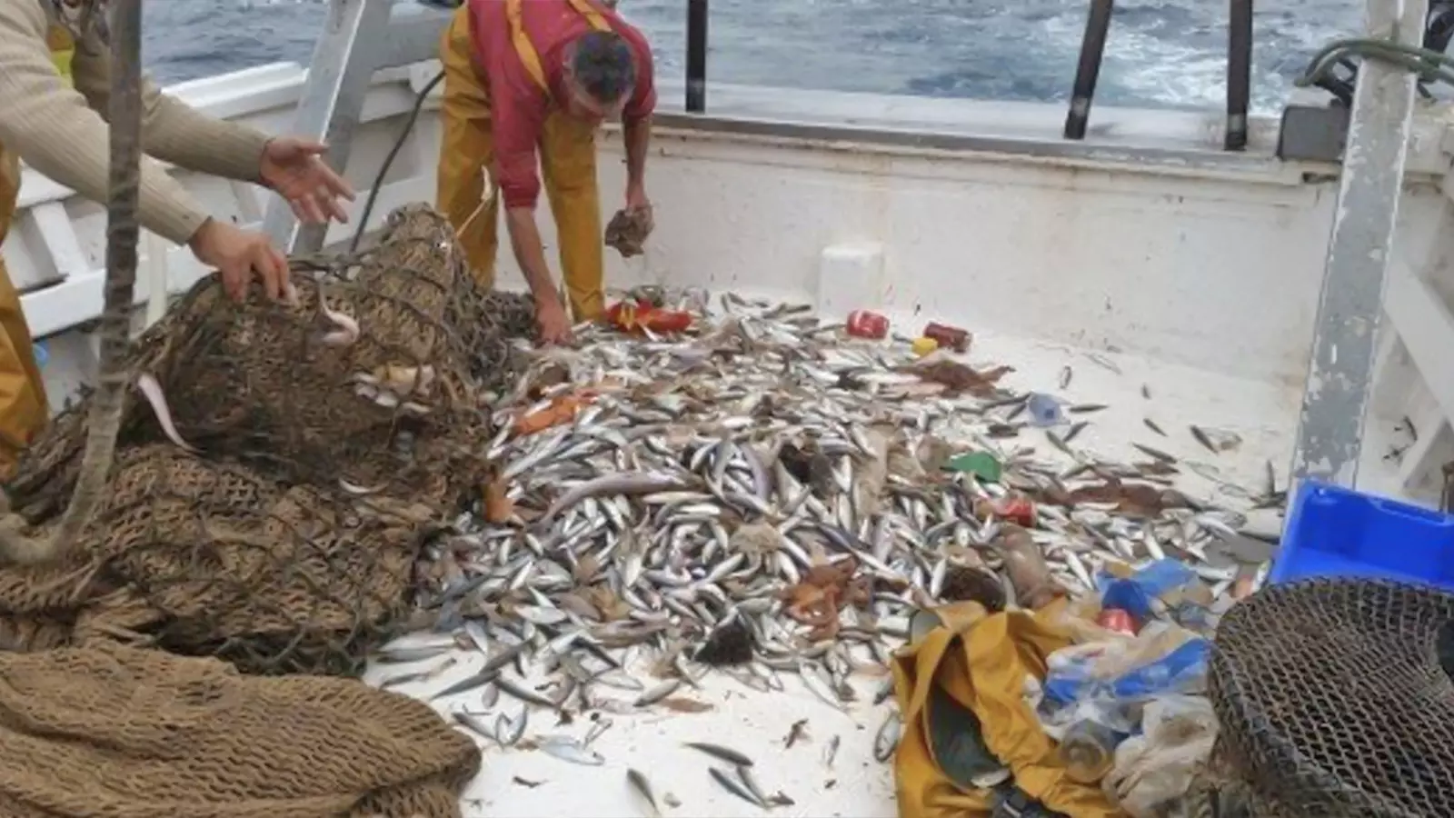 Fishermen collect fish on a boat. If current trends persist, projections suggest that by 2050, the weight of plastics in the ocean will surpass that of fish in the ocean.