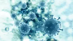 Karnataka teen dies of Monkey Fever, first case of 2024; know all about the disease