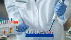Oxford scientists launch first human vaccine trials for deadly Nipah virus